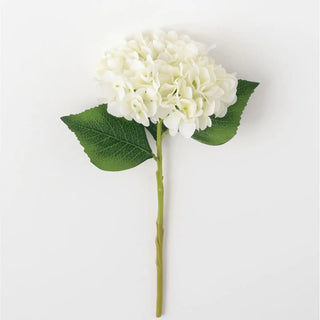 White Hydrangea Stem