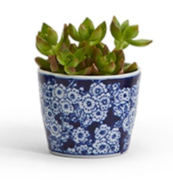 Decorative ceramic Canton cachepot featuring classic blue and white botanical designs.