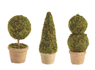 Mini moss covered topiary in terracotta pot for tabletop décor