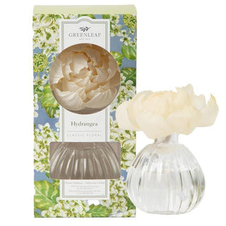 Green Leaf Hydrangea home fragrance with fresh floral scent inspired by blooming hydrangeas

Green Leaf Hydrangea scented product featuring floral bouquet notes and crisp green stems

Hydrangea fragrance by Green Leaf with elegant packaging for classic home décor