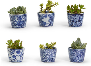 Decorative ceramic Canton cachepot featuring classic blue and white botanical designs.