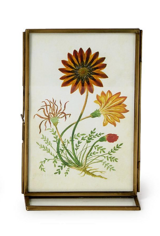 Double sided metal photo frame with vintage botanical artwork

Brass metal tabletop photo frame for 4x6 or 5x7 photos

Vertical double sided iron photo frame for desk or shelf

Metal and glass frame displaying botanical prints

Double sided metal frame for photos, artwork, or keepsakes

Classic metal photo frame with pressed flower display