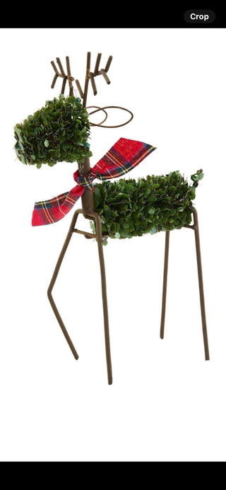 Large Boxwood Reindeer Sitter