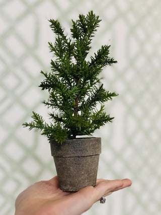 8 Inch Balsam Faux Pine Tree