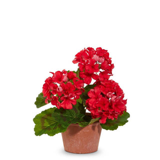 12 inch potted geranium bush with red blooms and green leaves