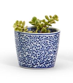 Decorative ceramic Canton cachepot featuring classic blue and white botanical designs.