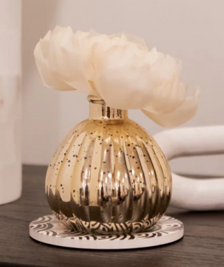 Sweet Grace flower diffuser with gold glass vase and ivory bloom

Holiday Sweet Grace diffuser in metallic gold bottle

Bridgewater Sweet Grace diffuser with boxed gift packaging