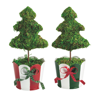 Moss Christmas Tree Topiaries in festive scalloped tin pots with red, green, and white finishes and decorative ribbon bows for Christmas home décor.