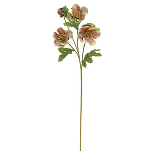 25-inch faux Christmas rose spray featuring realistic mauve and champagne blooms with green foliage, perfect for floral arrangements, centerpieces, and year-round home décor.