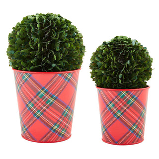 Large Boxwood Tartan Pot