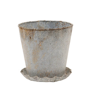 Distressed Metal Pot with Scallop Tray