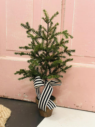 18 inch Potted Faux Norfolk Pine Tree