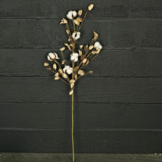 30 in Branch-Cotton with Shells