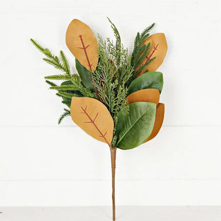 Magnolia Leaves W. Norfolk and Cedar Pines