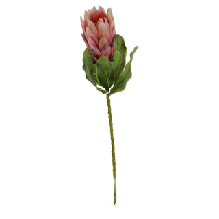22.5-inch faux salmon protea spray featuring a realistic protea bloom with layered petals and lush green leaves, perfect for floral arrangements and botanical home décor.