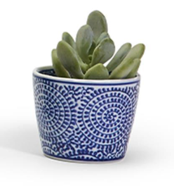 Decorative ceramic Canton cachepot featuring classic blue and white botanical designs.