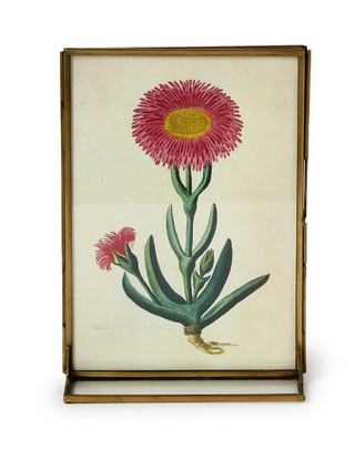 Double sided metal photo frame with vintage botanical artwork

Brass metal tabletop photo frame for 4x6 or 5x7 photos

Vertical double sided iron photo frame for desk or shelf

Metal and glass frame displaying botanical prints

Double sided metal frame for photos, artwork, or keepsakes

Classic metal photo frame with pressed flower display