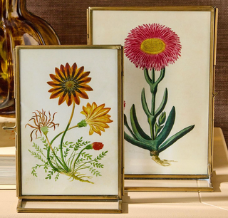 Double sided metal photo frame with vintage botanical artwork

Brass metal tabletop photo frame for 4x6 or 5x7 photos

Vertical double sided iron photo frame for desk or shelf

Metal and glass frame displaying botanical prints

Double sided metal frame for photos, artwork, or keepsakes

Classic metal photo frame with pressed flower display