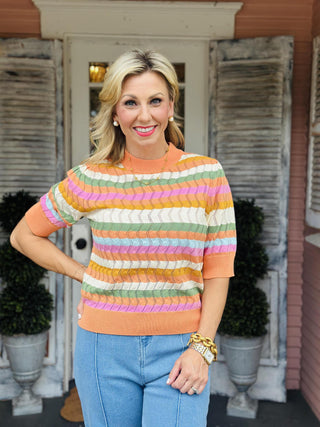 Nellie Top multicolor striped knit short sleeve sweater