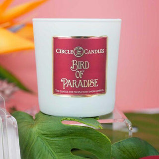 Circle E Candle Birds of Paradise strawberries and cream scented candle