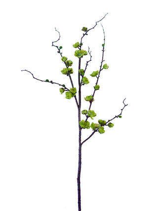 Plum Blossom Branch, Green