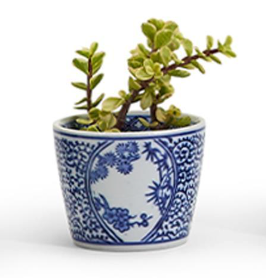 Decorative ceramic Canton cachepot featuring classic blue and white botanical designs.