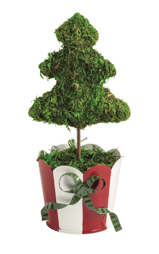 Moss Christmas Tree Topiaries in festive scalloped tin pots with red, green, and white finishes and decorative ribbon bows for Christmas home décor.