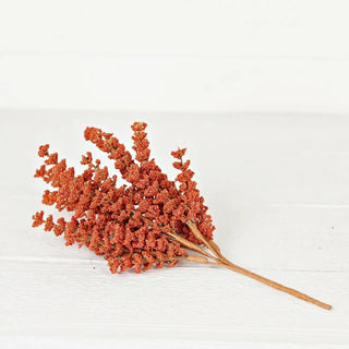 14 in Bush-Pumpkin Millet Berry Heather