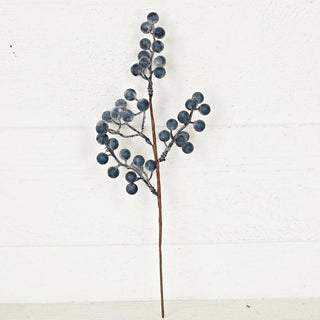 Pick-Blue Mountain Berry