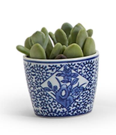 Decorative ceramic Canton cachepot featuring classic blue and white botanical designs.