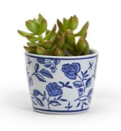 Decorative ceramic Canton cachepot featuring classic blue and white botanical designs.