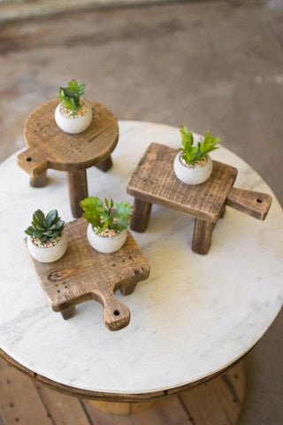 “Wooden cutting board risers styled with small succulents”