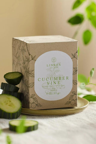 Linnea Cucumber Vine candle with soy wax and double cotton wicks