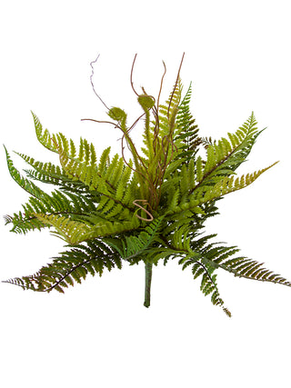 Totara Fern Bush, Green/Brown