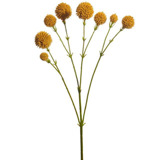 20 inch billy button spray with yellow ball flowers