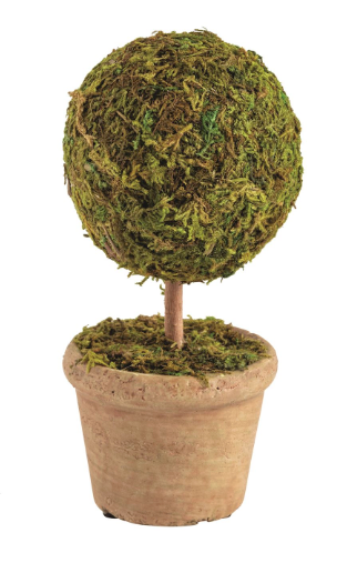 Mini moss covered topiary in terracotta pot for tabletop décor